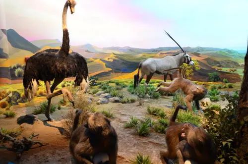 北京科学博物馆科普之旅_北京哪个科技馆最好玩_第十届北京科学嘉年华活动