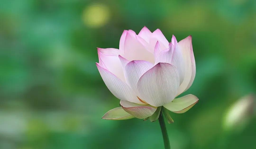 为什么给比拿愉快_中年生活感悟_中年养生之道