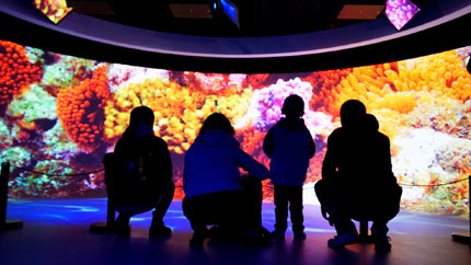 北京朝阳公园索尼探梦_索尼探梦科技馆 4K投影机 8K水下拍摄