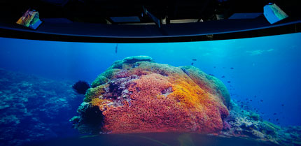 索尼探梦科技馆 4K投影机 8K水下拍摄_北京朝阳公园索尼探梦