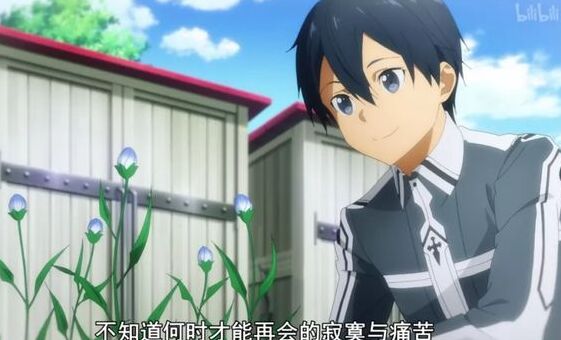 刀剑神域桐人尤吉欧整合骑士之路_刀剑神域地下世界禁经解析_courage刀剑神域