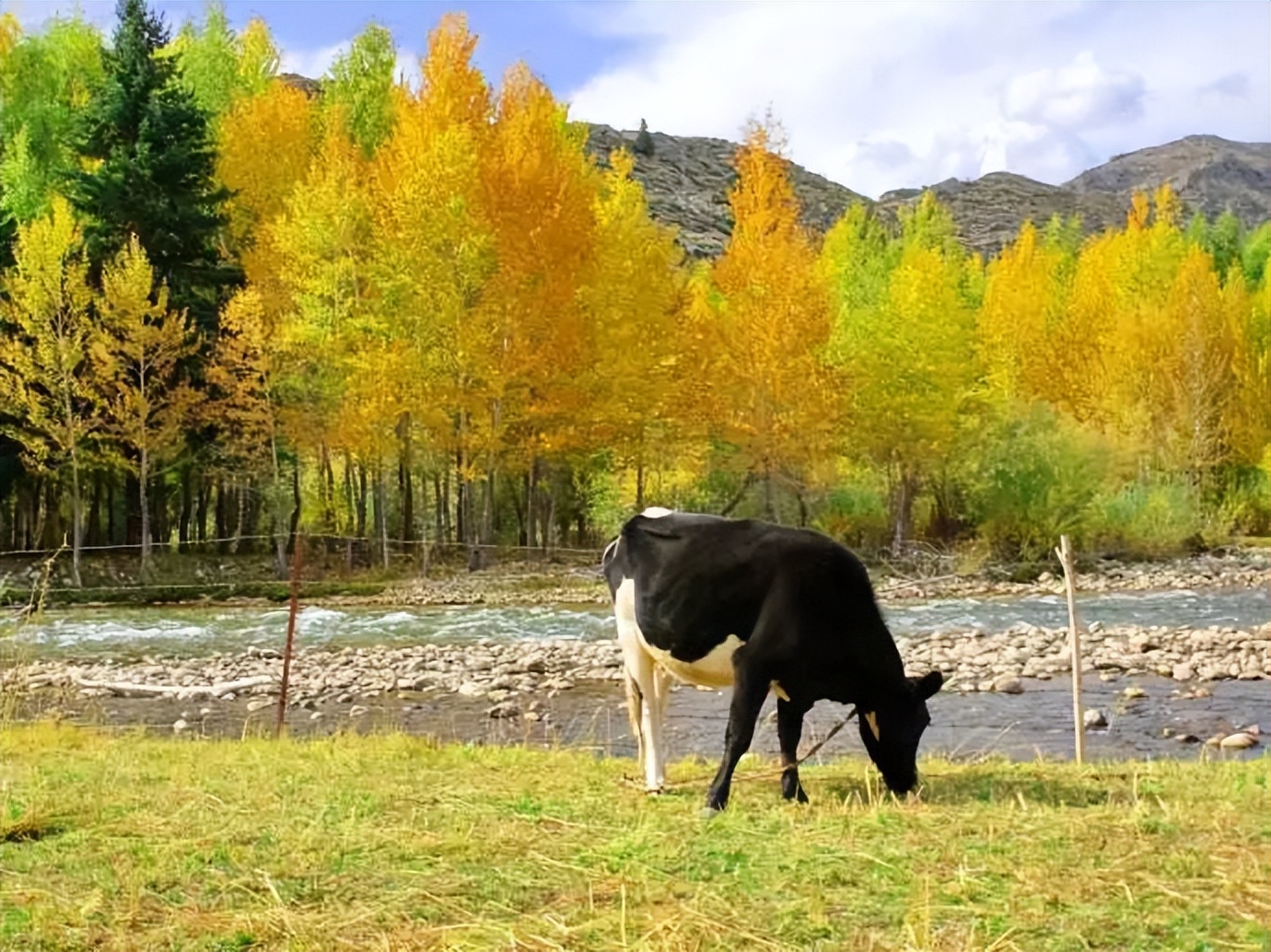 新疆冬季生存注意事项_乌鲁木齐市钢模板厂家_新疆冬季工地生活