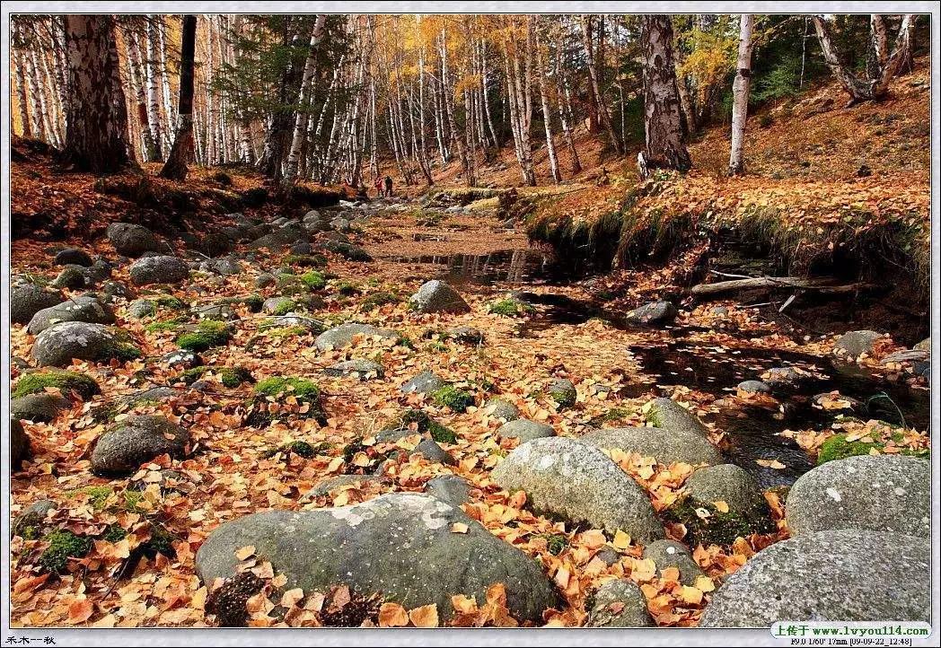 新疆冬季工地生活_新疆冬季生存注意事项_乌鲁木齐市钢模板厂家