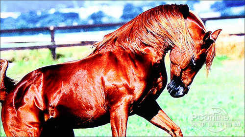 杰科BDP-G4308高清播放机参数_杰科BDP-G4308 3D蓝光播放机评测_3d蓝光硬盘(3tb元以上)播放机