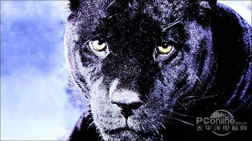 3d蓝光硬盘(3tb元以上)播放机_杰科BDP-G4308高清播放机参数_杰科BDP-G4308 3D蓝光播放机评测