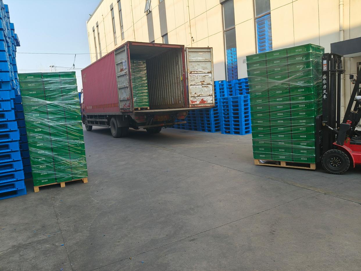 成都叉车塑料托盘_塑料托盘物流应用_塑料托盘食品行业应用