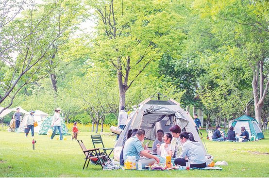 南京红山森林动物园大熊猫_南京科技馆免费开放_南京玄武湖公园趣味活动