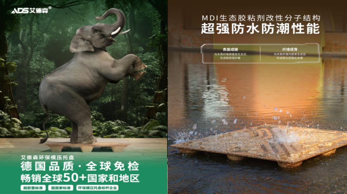 艾德森环保模压托盘技术_模压托盘热压机_安徽艾德森包装科技开业庆典