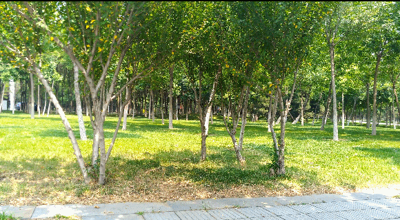 手持稳定器_飞宇SPG-C三轴手机稳定器_飞宇稳定器