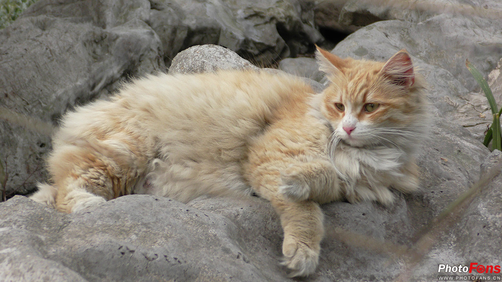 松下HC-VX980评测_松下HC-VX980性能参数_松下的耳机怎样