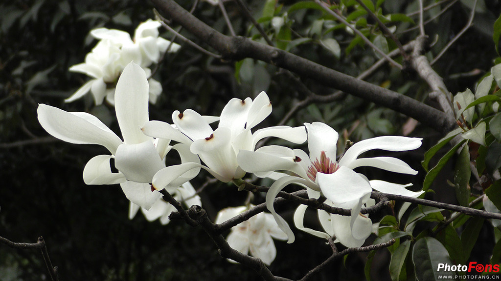 松下HC-VX980评测_松下HC-VX980性能参数_松下的耳机怎样