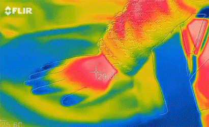 浪莎黑金羽绒裤 90%白鸭绒 139元清仓_羽绒裤怎么穿