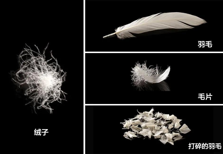 浪莎黑金羽绒裤 90%白鸭绒 139元清仓_羽绒裤怎么穿