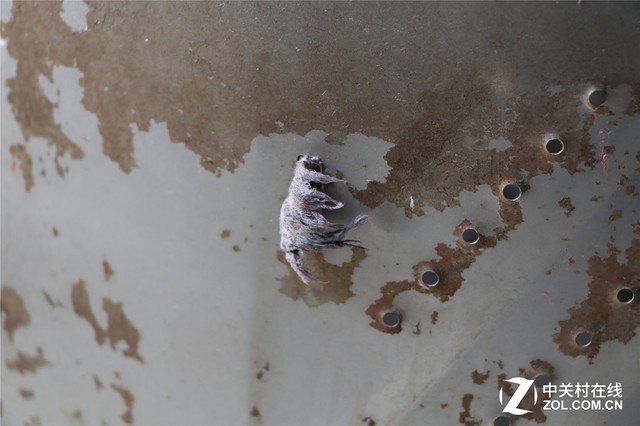 最污洗衣机拆解第二日 脏透的波轮洗衣机