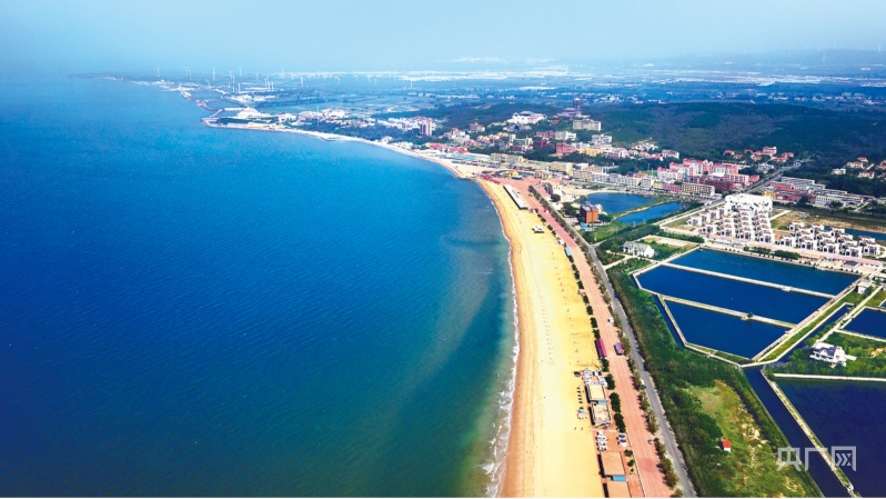 瓦房店交流岛旅游_大连亲子游学路线_大连奇石文化博物馆旅游