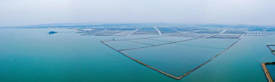 大连复州河海参圈养殖_瓦房店市禁养令_瓦房店交流岛旅游