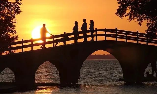  中国高速铁路大跨度桥梁技术 __桥面板跨度