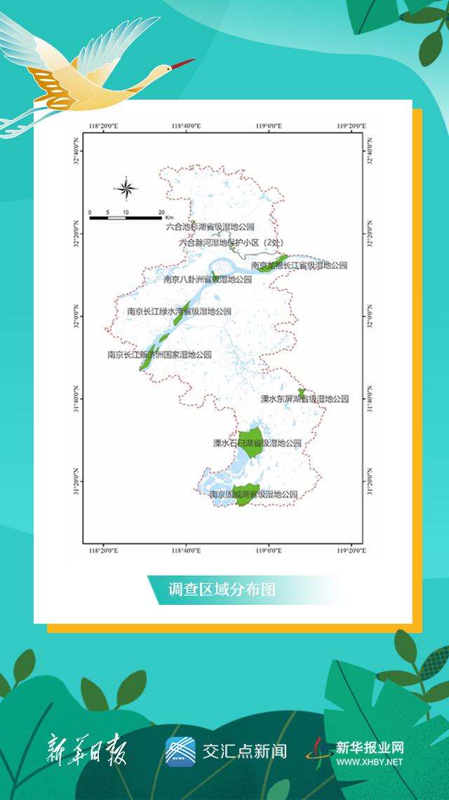 南京长江新济洲国家湿地公园_长江洲滩型湿地公园_南京湿地公园