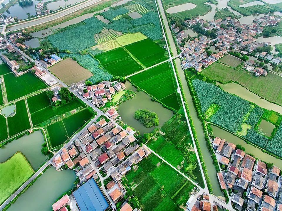 黄天荡大捷历史地_南京湿地公园_南京黄天荡湿地公园