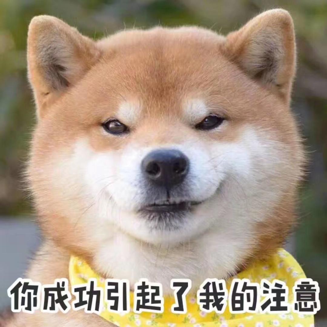 南京黄天荡湿地公园_南京湿地公园_黄天荡大捷历史地