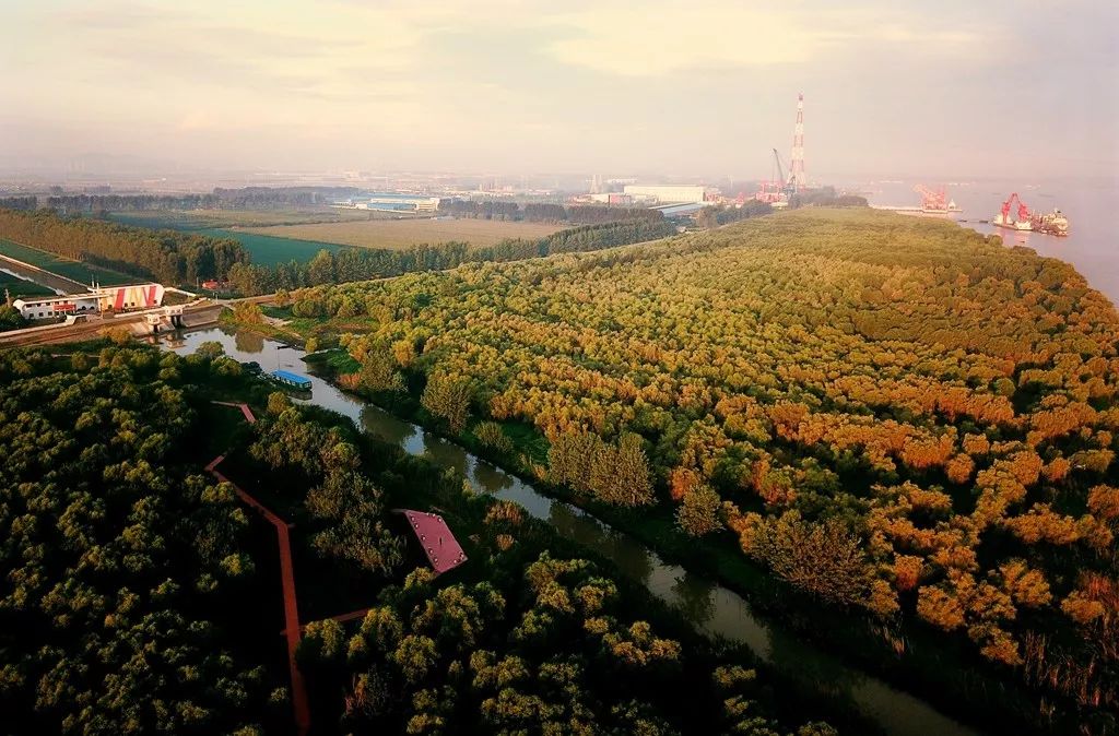 黄天荡大捷历史地_南京黄天荡湿地公园_南京湿地公园