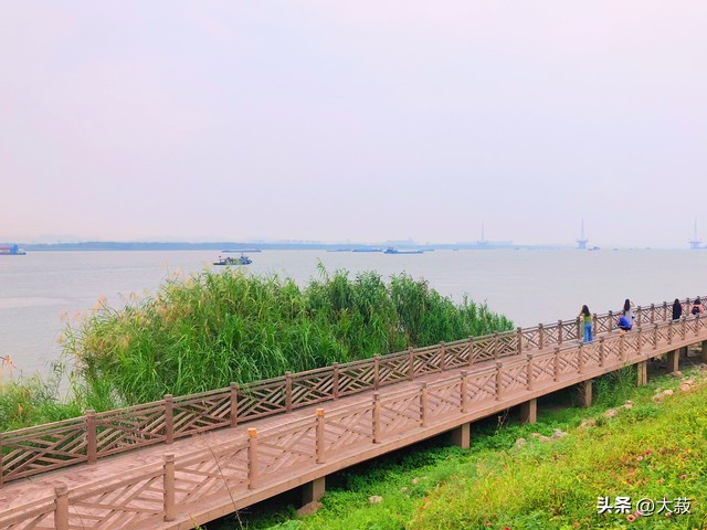 鱼嘴湿地公园交通指南_南京鱼嘴湿地公园攻略_南京湿地公园