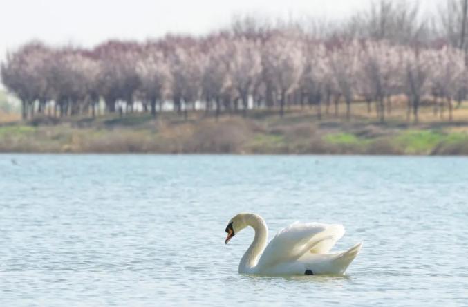 河南省图书馆 地址_郑州景区博物馆开放情况_郑州文化旅游恢复开放时间