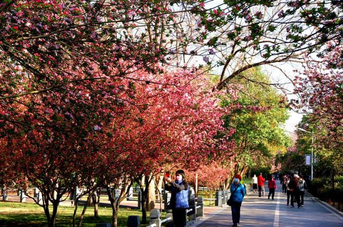 河南省图书馆 地址_郑州景区博物馆开放情况_郑州文化旅游恢复开放时间
