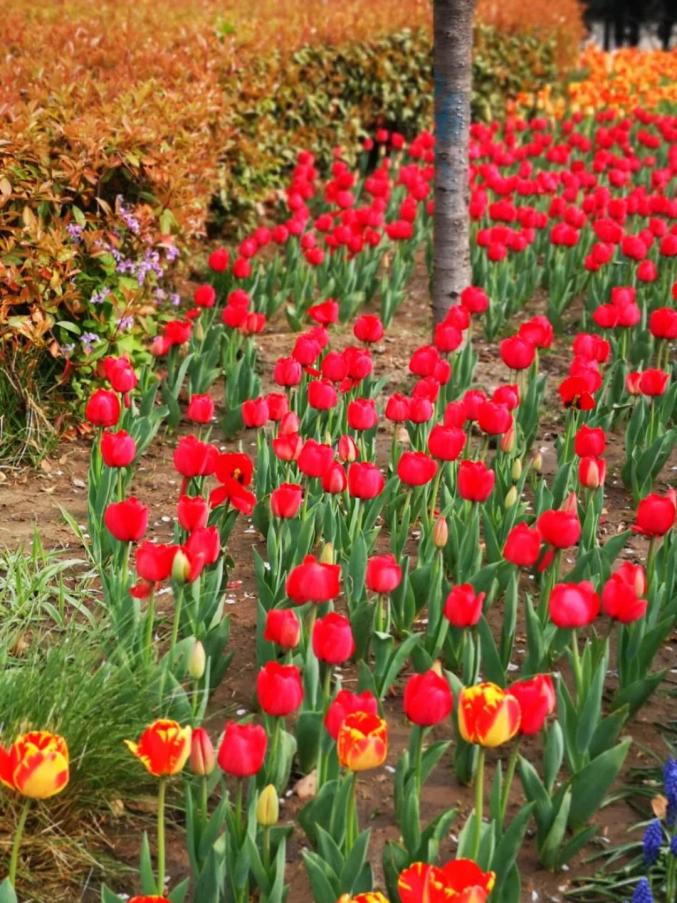 河南省图书馆 地址_郑州景区博物馆开放情况_郑州文化旅游恢复开放时间