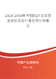 对中国2024至2030年钻井泥浆泵行业的发展态势及未来展望进行深入研究与分析的报告