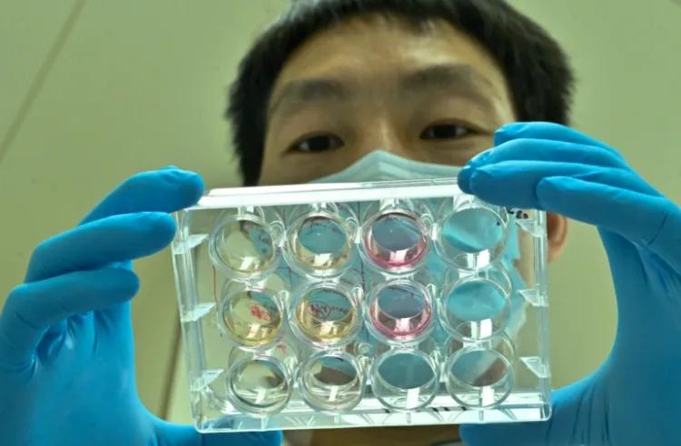 重庆新质生产力发展_重庆科技创新产业体系建设_重庆生产力大厦