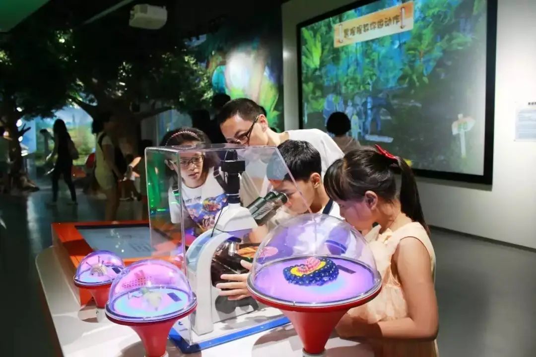 佛山市青少年文化宫_佛山市城市展览馆_佛山科技馆