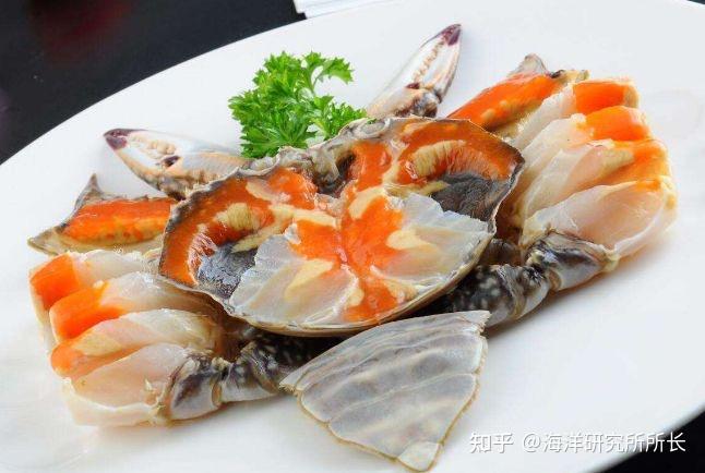 舟山渔场成因_舟山特色民宿推荐_舟山旅游攻略