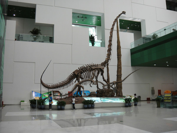 中国科学技术馆新馆游玩攻略_北京科技馆亲子游推荐_中国科技馆新馆附近酒店