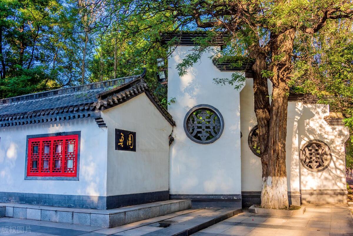 鲁迅小说人物塑造手法_鲁迅的写作特点_鲁迅小说艺术特色