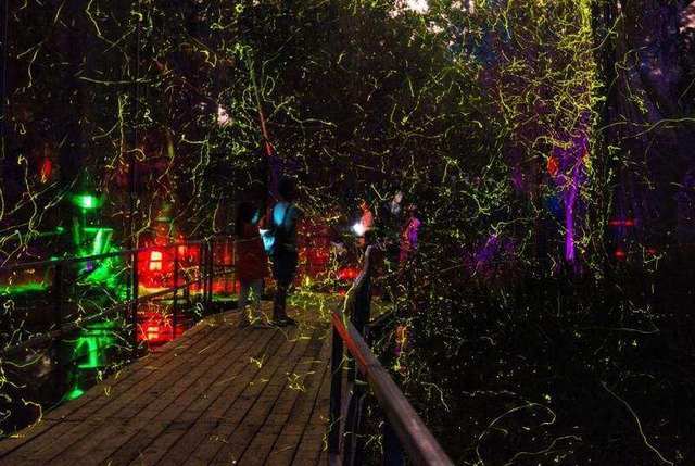 厦门萤火虫公园官网_厦门大学旅游攻略_厦门最值得去的景点