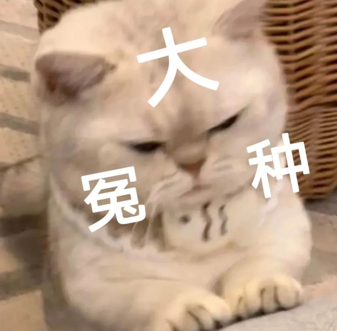 苹果基带研发困境_苹果自研基带失败_苹果6换过基带可以用吗