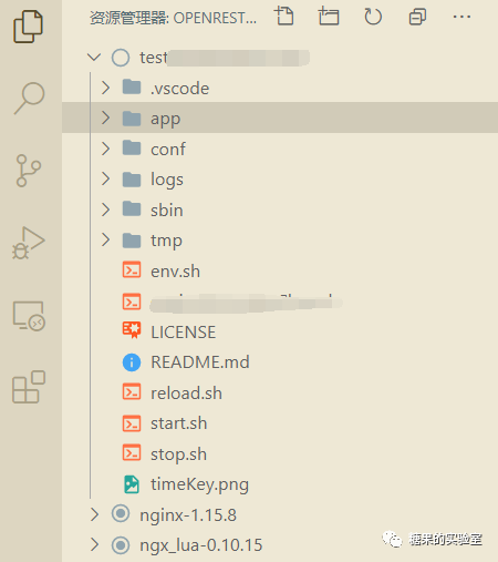 VSC远程调试OpenResty_openresty nginx_ZeroBraneStudio