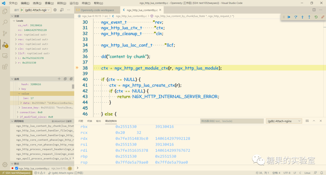 VSC远程调试OpenResty_openresty nginx_ZeroBraneStudio