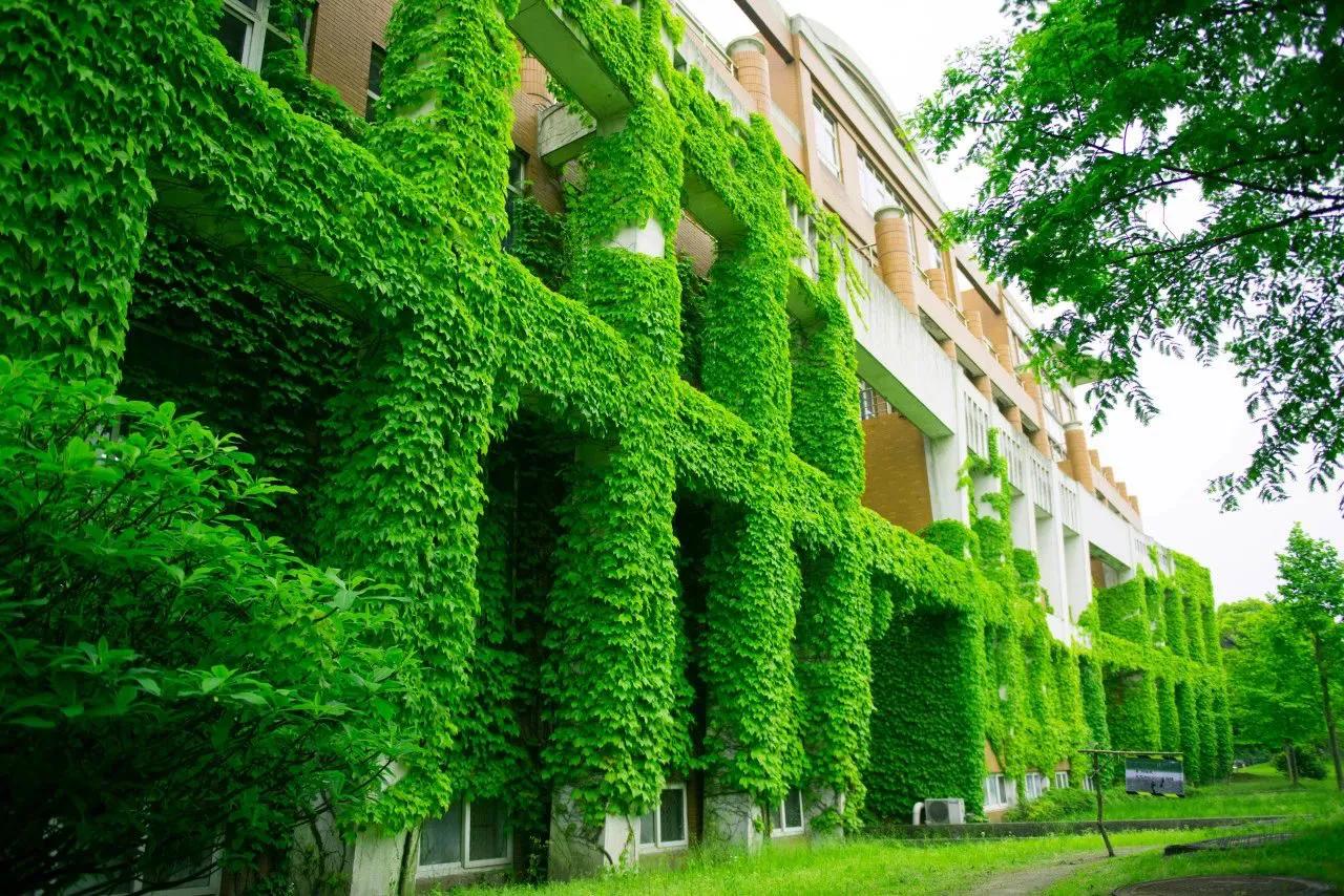 中国计量大学三位一体综合评价招生章程_2025中国计量大学三位一体招生条件_中国计量学院教务正方