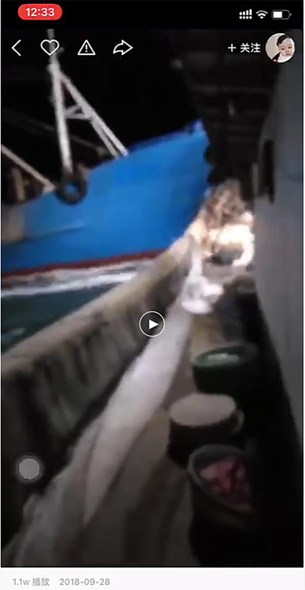 中国渔船船员死亡事故分析报告_渤海湾渔船碰撞事故_冀昌渔06092翻船事件