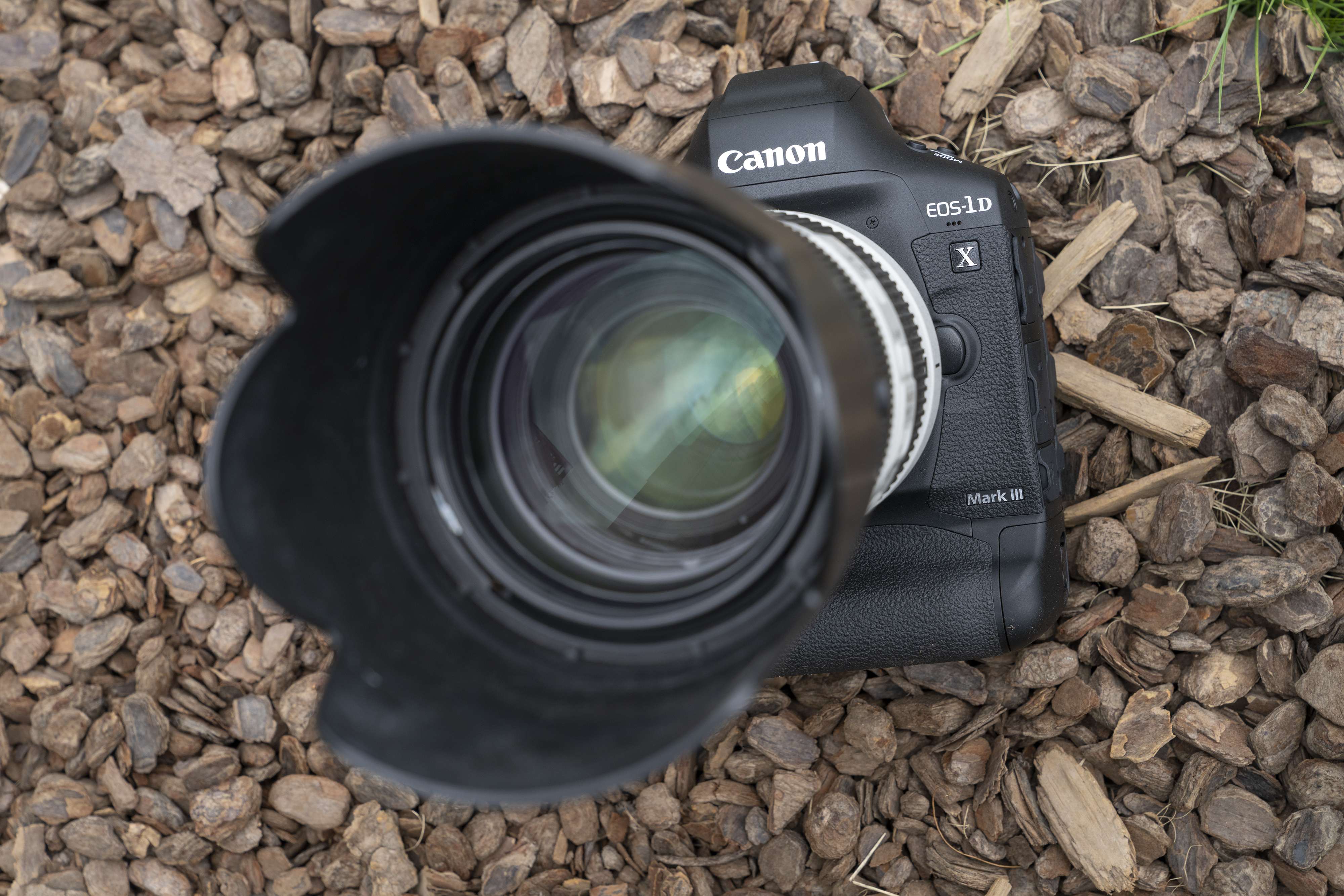 佳能单反1200d怎么样_佳能EOS 1DX Mark III性能分析_旗舰单反相机评测