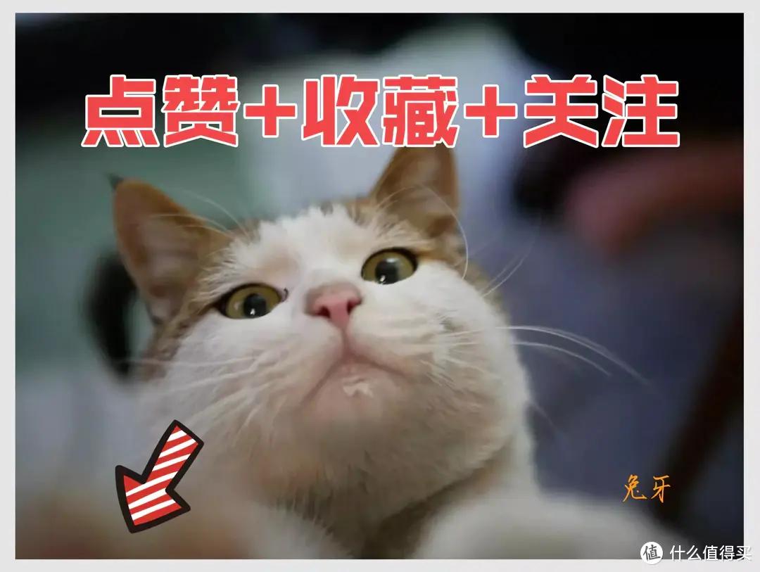 双十一高性价比咖啡机推荐_咖啡机选购指南_没有咖啡机怎么煮特浓咖啡